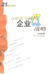 企业CI战略 封面