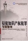 侵犯知识产权犯罪专题整理 封面