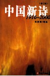 中国新诗  1916-2000 封面