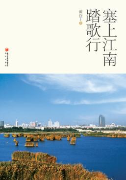 塞上江南踏歌行 封面