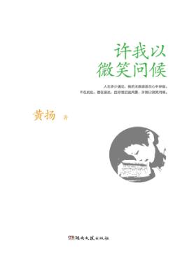 许我以微笑问候 封面