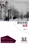 漂泊中的温柔 封面
