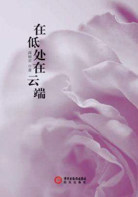 在低处在云端 封面