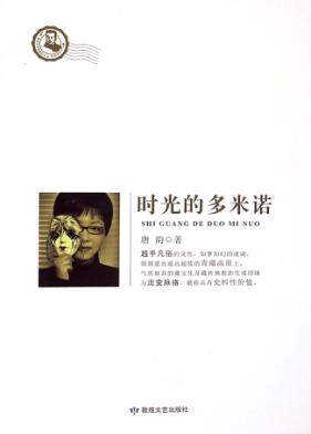 时光的多米诺 封面