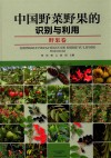 中国野菜野果的识别与利用  野果卷 封面