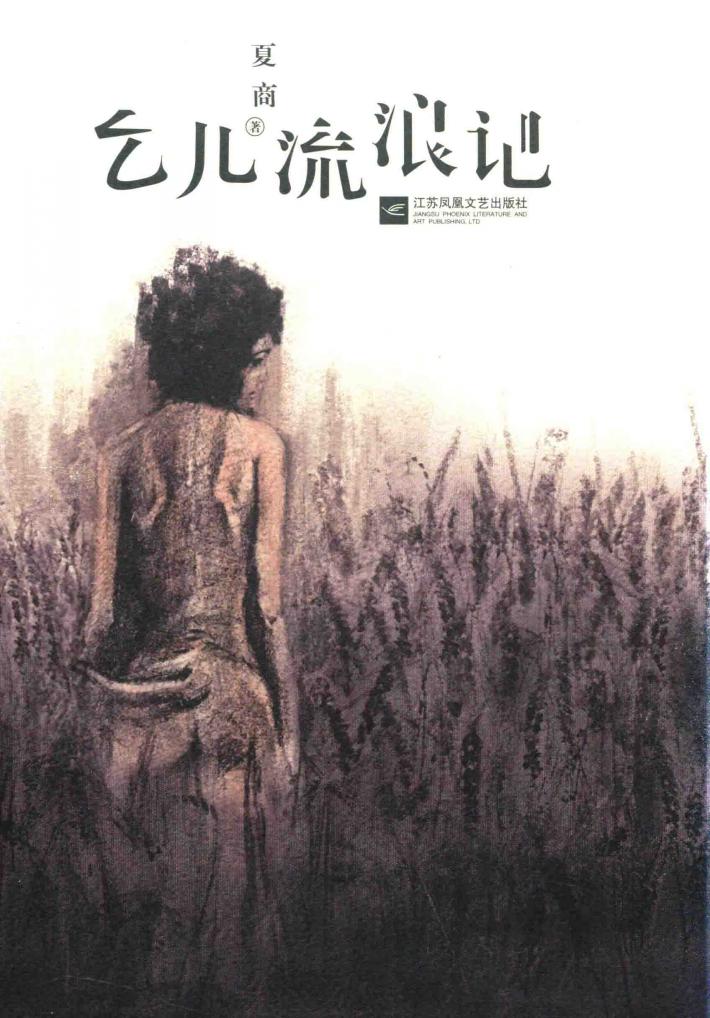 乞儿流浪记 封面