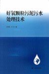 好氧颗粒污泥污水处理技术 封面