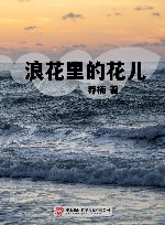 浪花里的花儿 封面