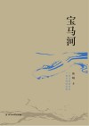 宝马河  大时代洪流下小人物的命与运 封面