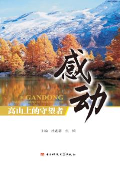 感动  高山上的守望者 封面