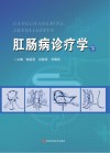 肛肠病诊疗学  下 封面