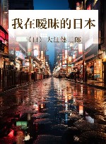 我在暧昧的日本 封面