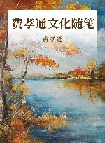 费孝通文化随笔 封面