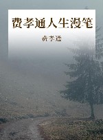 费孝通人生漫笔 封面