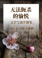 无法扼杀的愉悦  文学与美学漫笔 封面