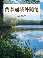 费孝通域外随笔 封面