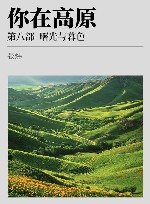 你在高原 xa0第8部 xa0曙光与暮色 封面
