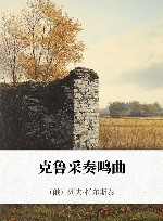 克鲁采奏鸣曲 封面