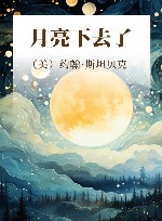月亮下去了 封面