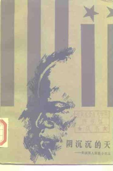 阴沉沉的天 美国黑人短篇小说选 封面