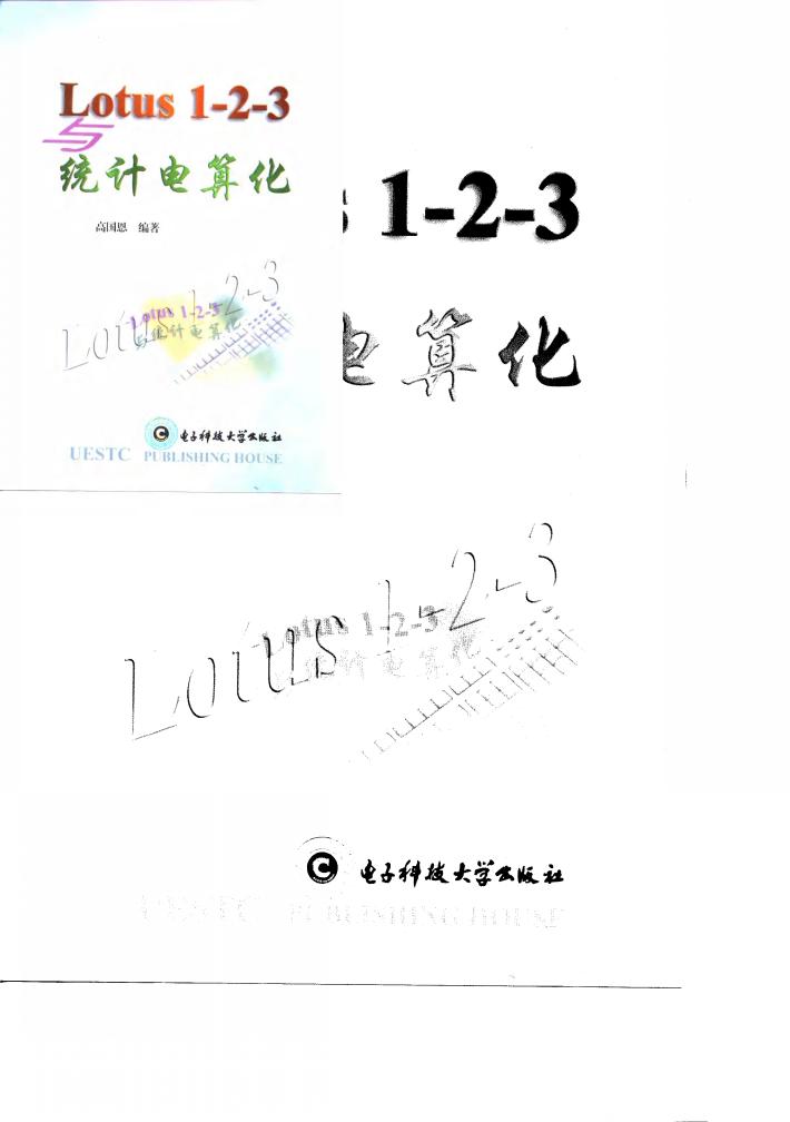 Lotus 1-2-3与统计电算化 封面