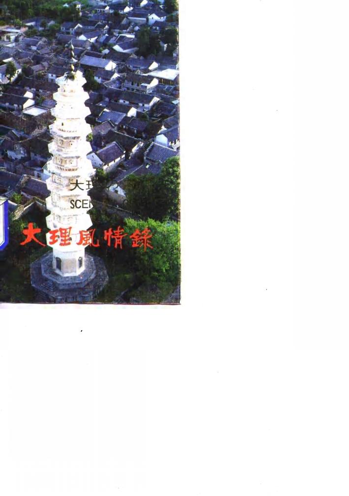 大理风情录 封面