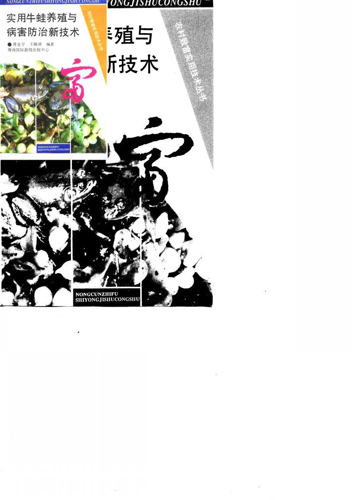 实用牛蛙养殖与病害防治新技术 封面