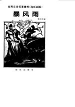 暴风雨 封面
