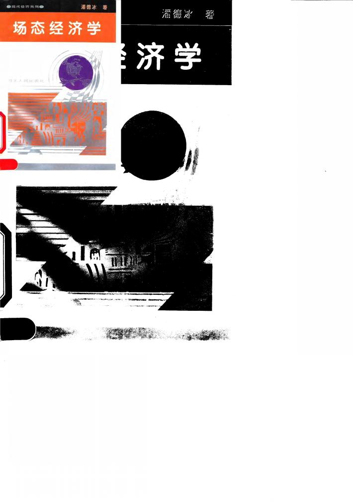 场态经济学 封面