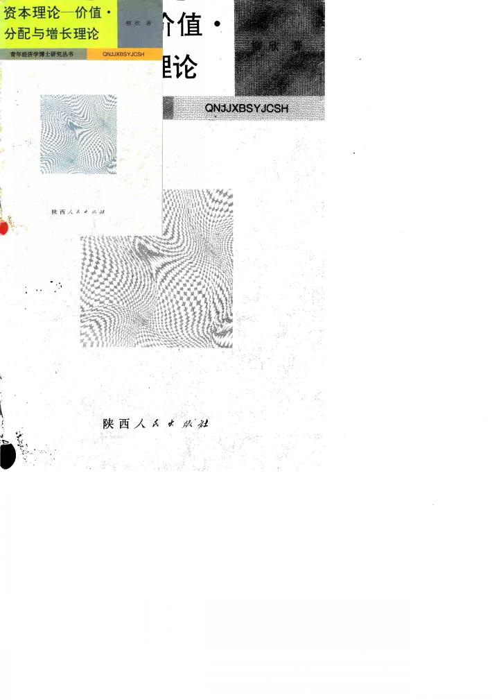 资本理论 价值、分配与增长理论 封面