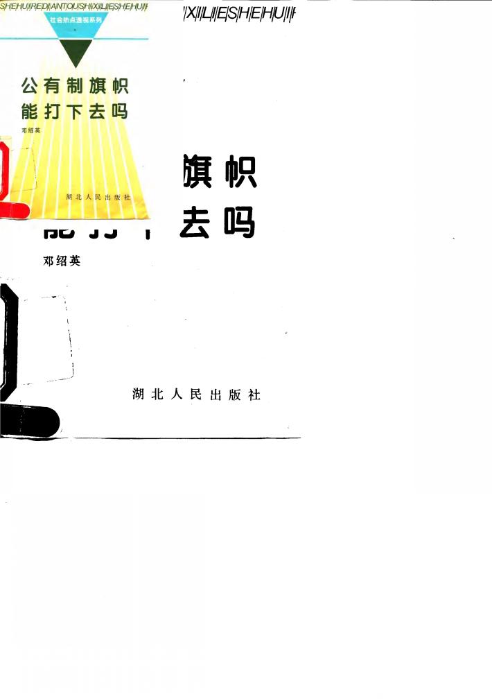 公有制旗帜能打下去吗 封面