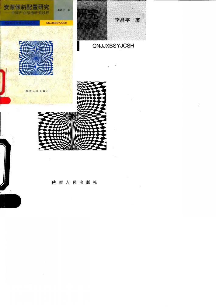 资源倾斜配置研究  中国产业结构转变过程 封面