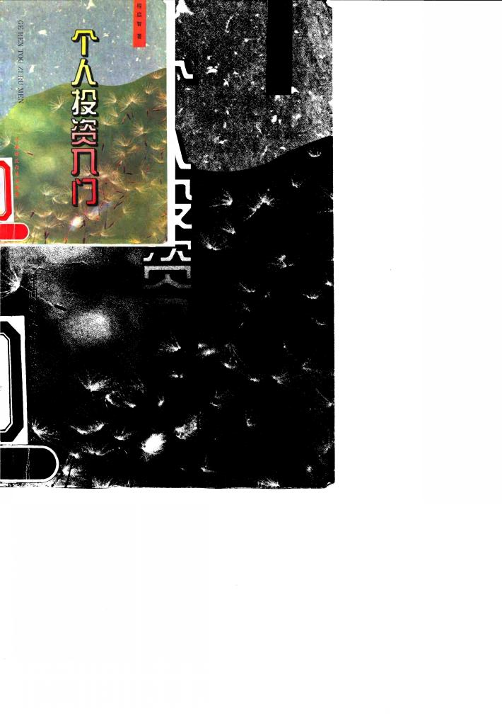 个人投资入门 封面