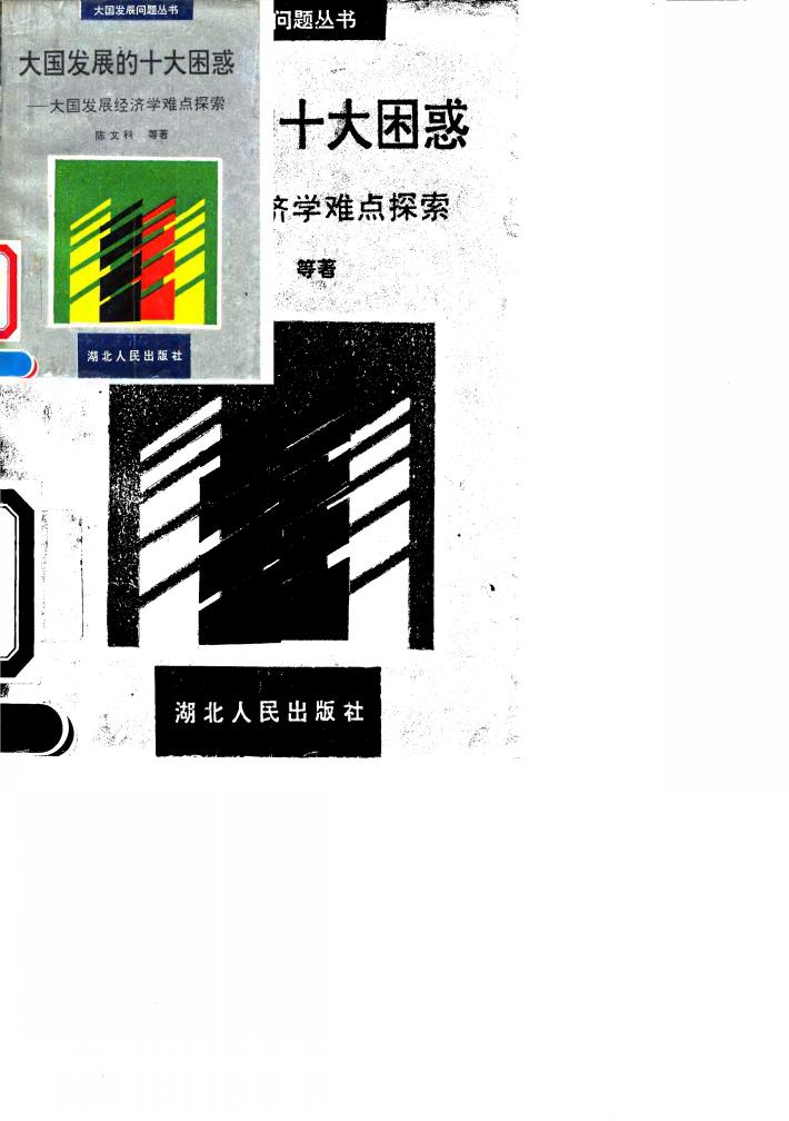 大国发展的十大困惑 大国发展经济学难点探索 封面