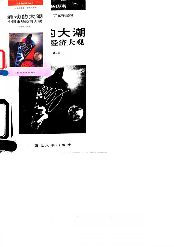 涌动的大潮 中国市场经济大观 封面