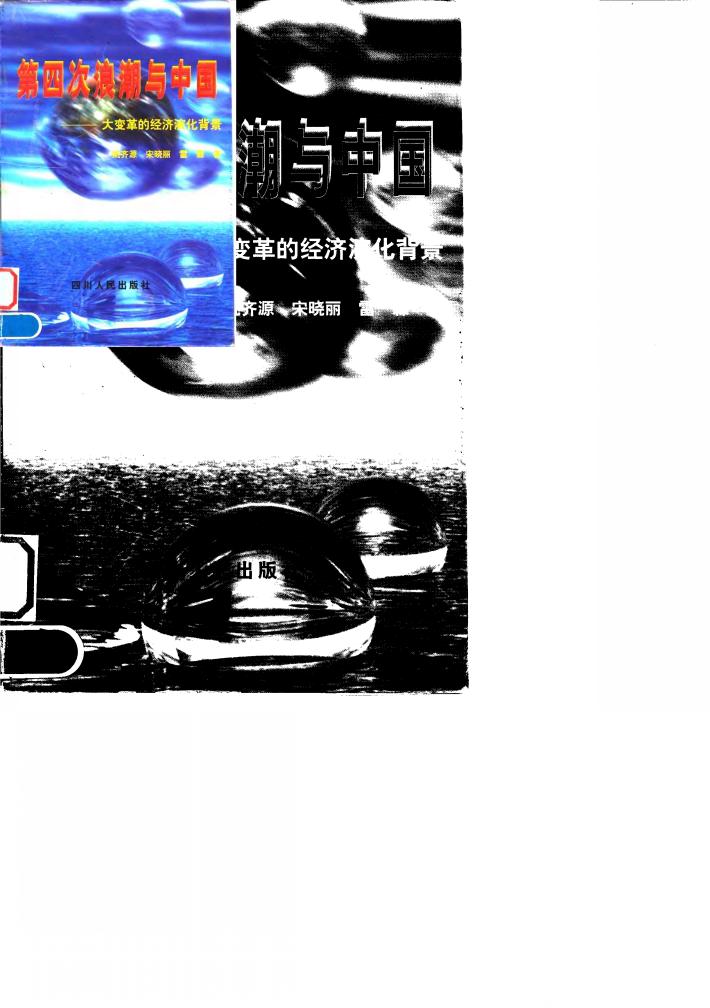 第四次浪潮与中国  大变革的经济演化背景 封面