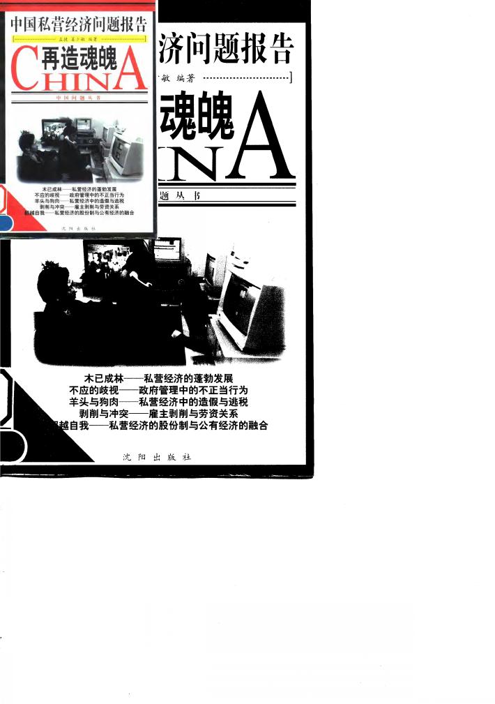再造魂魄  中国私营经济问题报告 封面