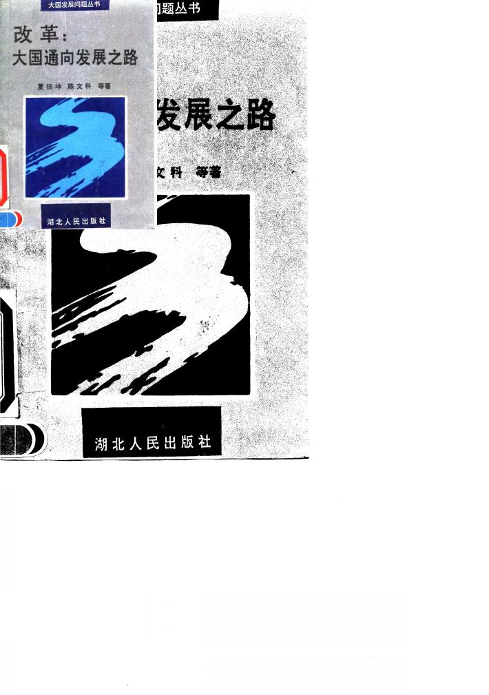 改革 大国通向发展之路 封面
