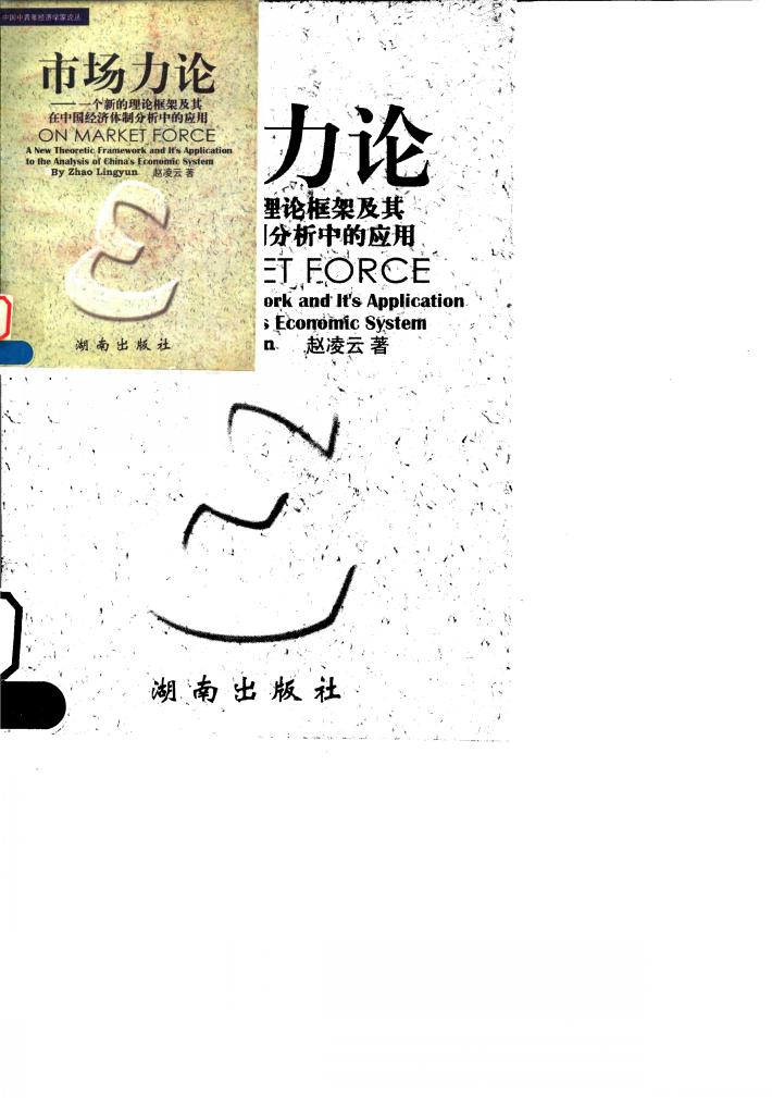 市场力论 一个新的理论框架及其在中国经济体制分析中的应用 封面