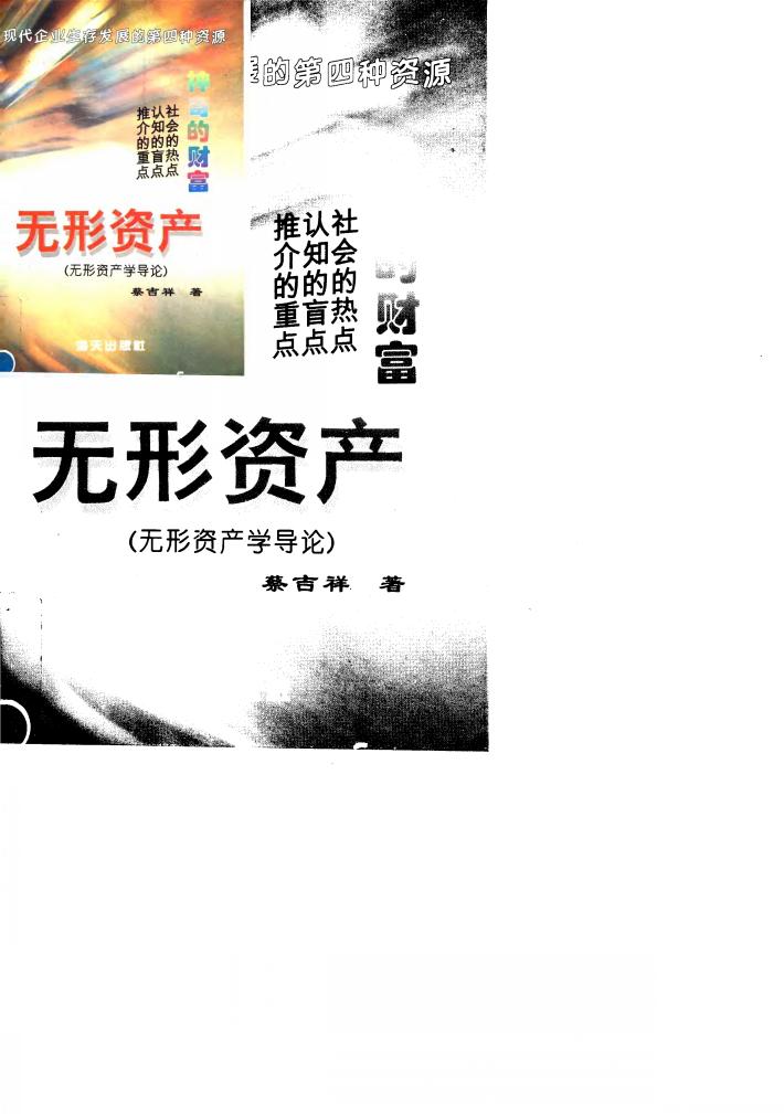 神奇的财富 无形资产 无形资产学导论 封面