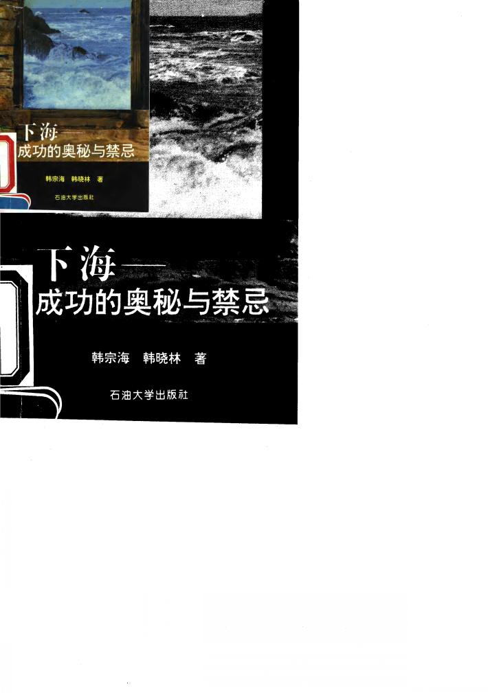下海  成功的奥秘与禁忌 封面