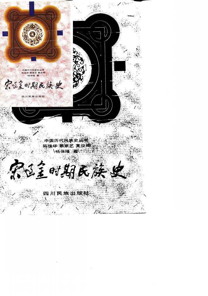 宋辽金时期民族史 封面