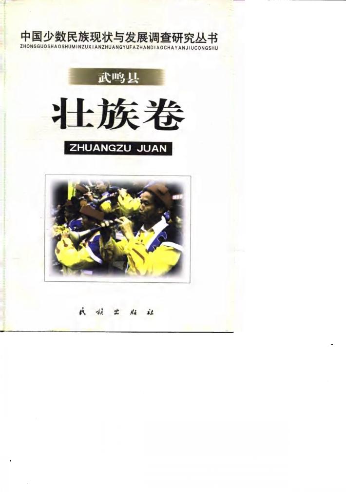 中国少数民族现状与发展调查研究丛书 武鸣县壮族卷 封面