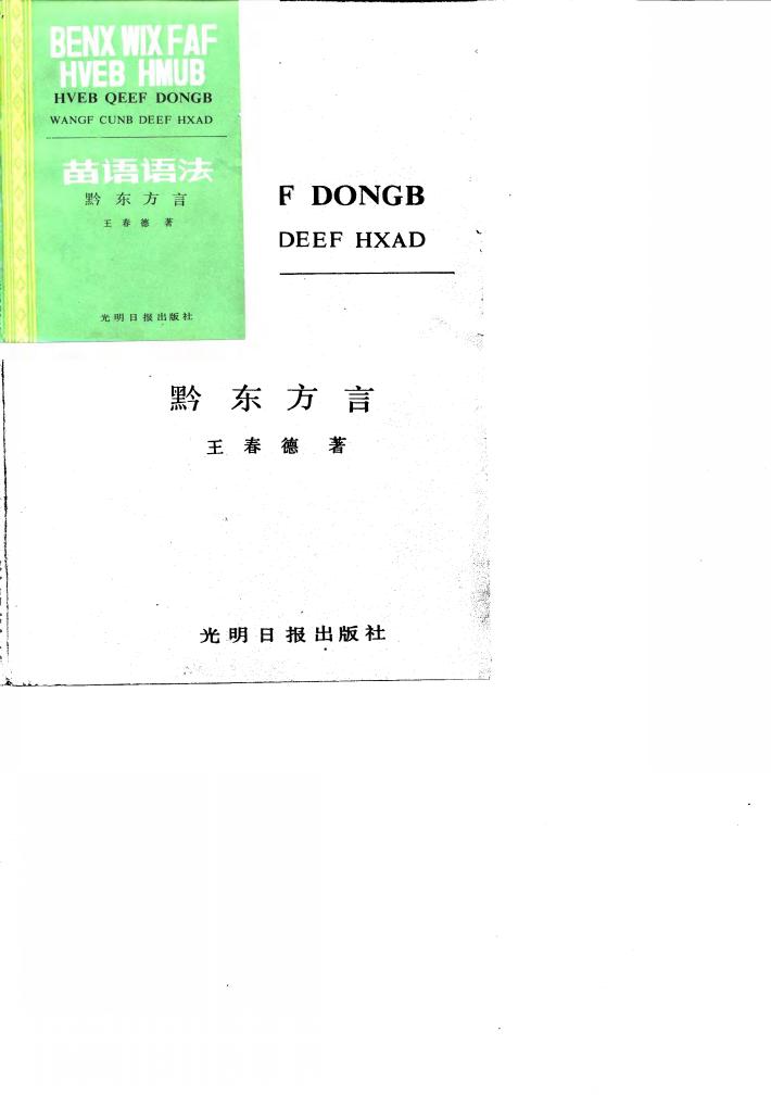 苗语语法  黔东方言 封面