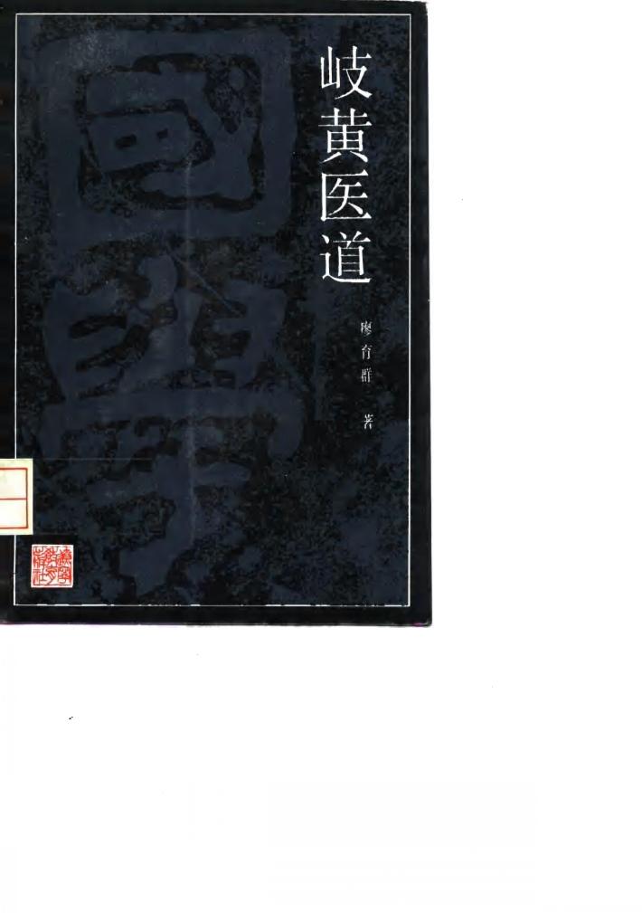 岐黄医道 封面