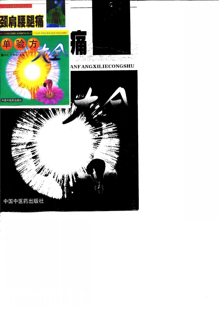 颈肩腰腿痛单验方大全 封面