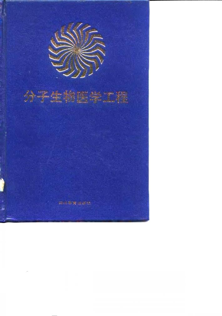 分子生物医学工程 封面