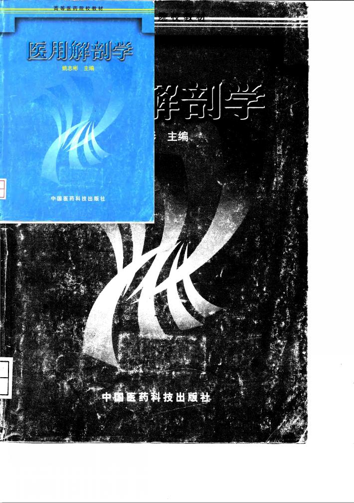 医用解剖学 封面