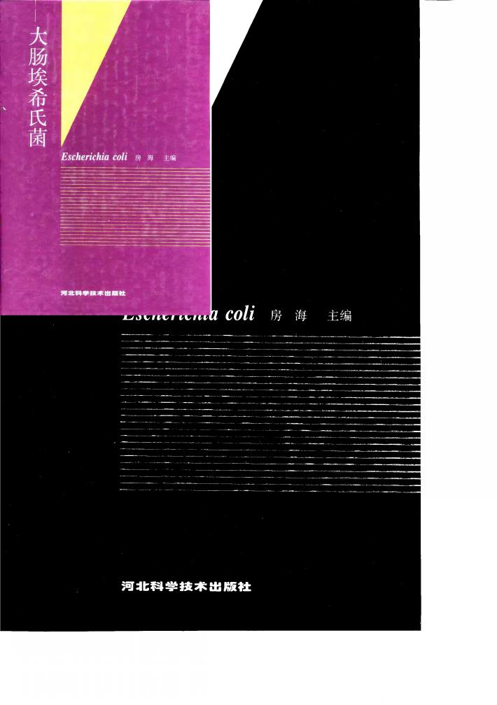 大肠埃希氏菌 封面