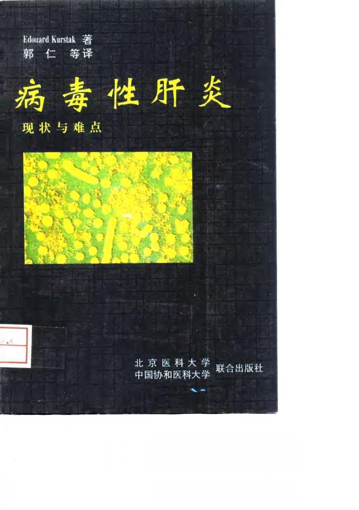 病毒性肝炎 现状与难点 封面